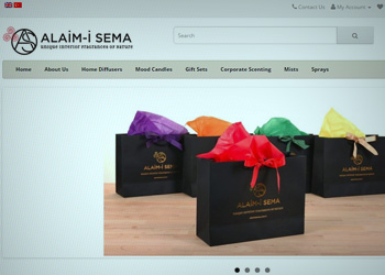 ALAİMİSEMA web tasarım
